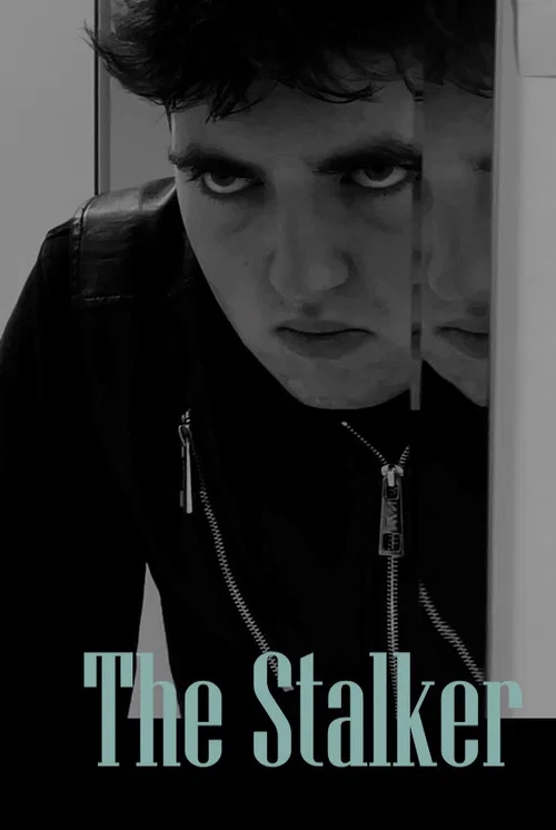 The Stalker постер
