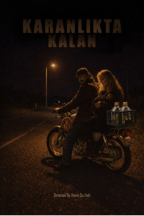 Left ın the Dark постер