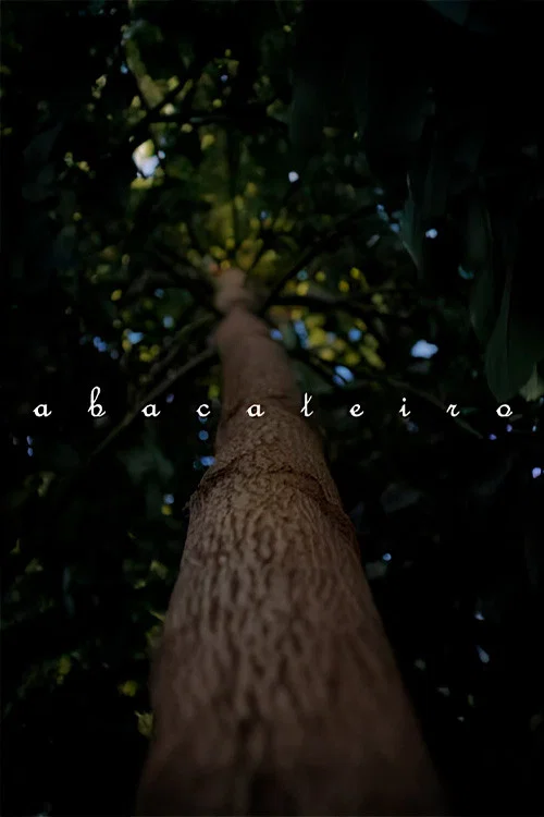 Abacateiro постер