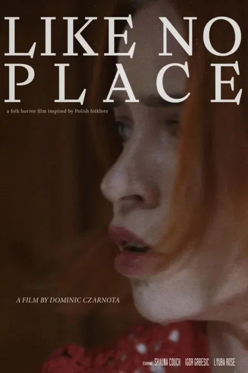 Like No Place постер