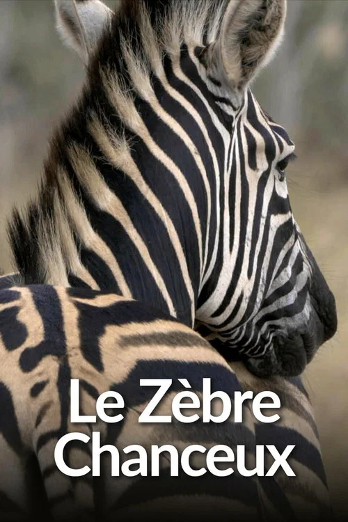 Le Zèbre chanceux постер