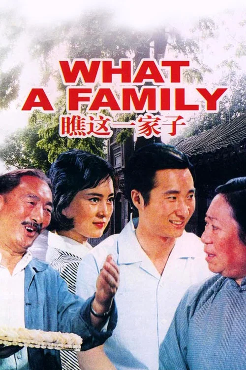 瞧这一家子 постер