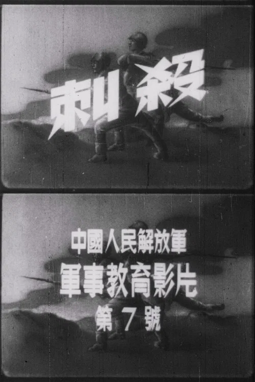 刺殺 постер
