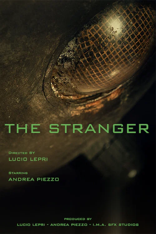 The Stranger постер