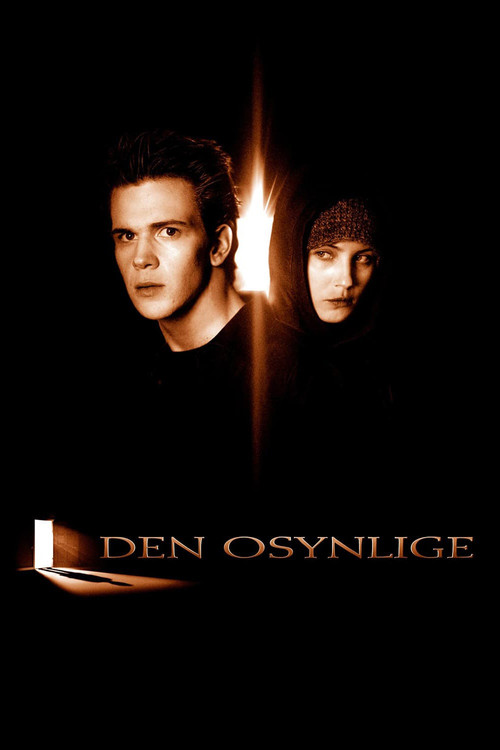 Den osynlige постер