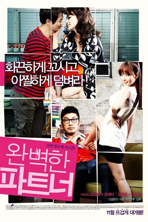 완벽한 파트너 постер