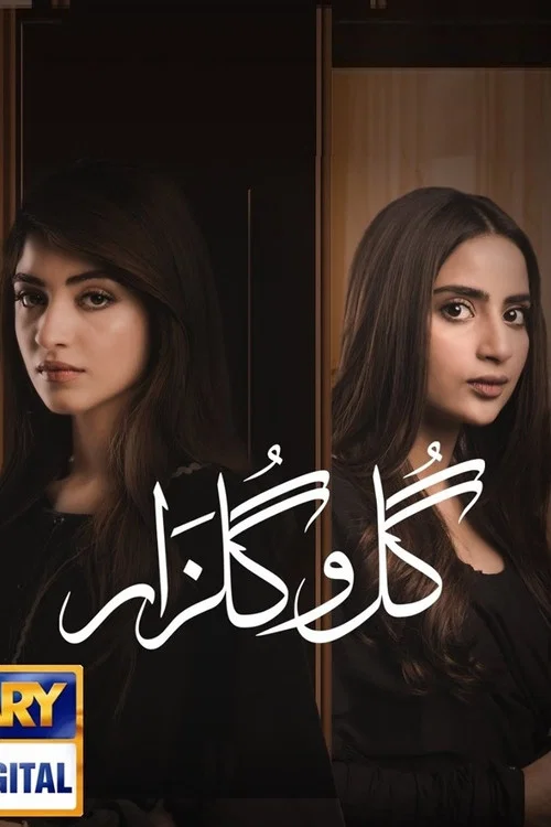 Gul-o-Gulzar постер