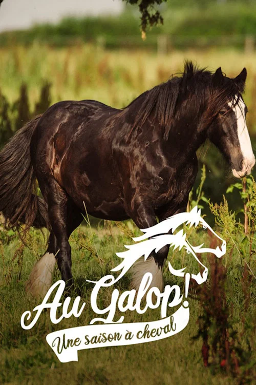 Au galop ! une saison à cheval постер