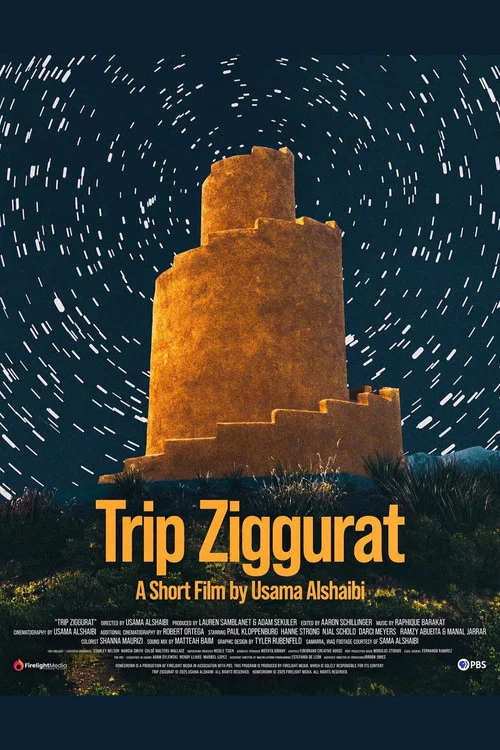 Trip Ziggurat постер