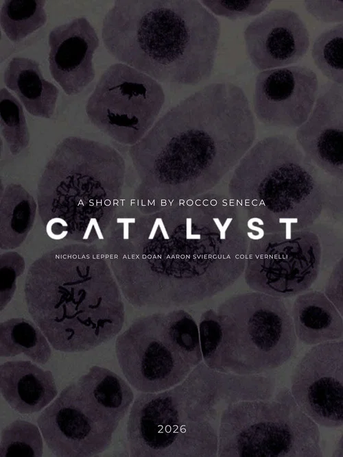 Catalyst постер