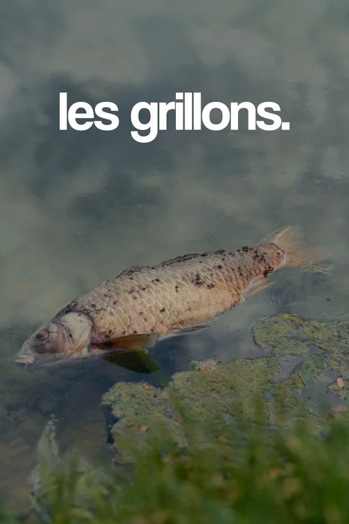 les grillons. постер