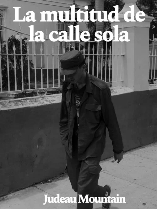 La multitud de la calle sola постер