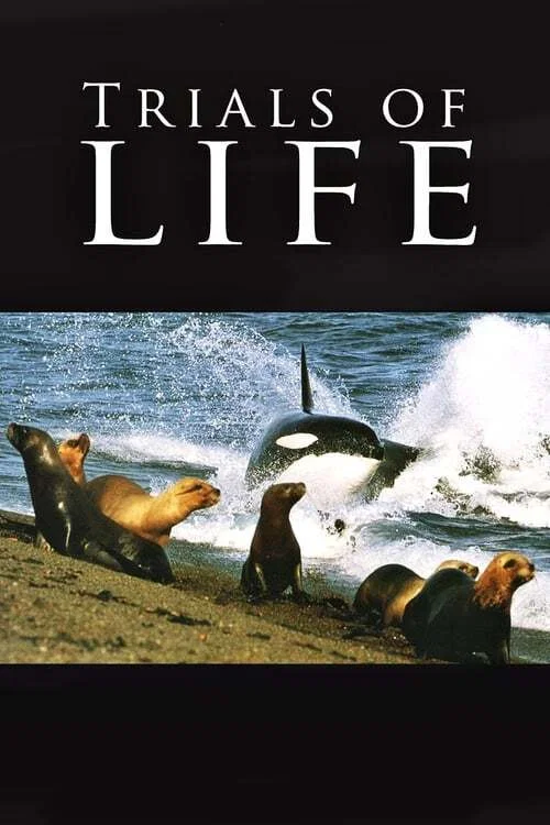 The Trials of Life постер