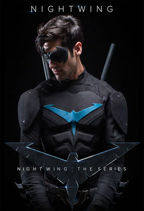 Nightwing: The Series постер