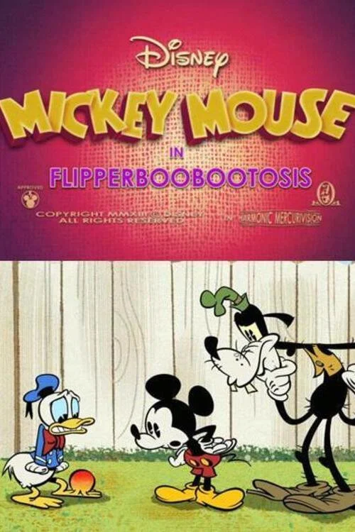 Flipperboobootosis постер