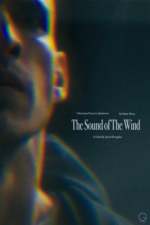 The Sound of the Wind постер