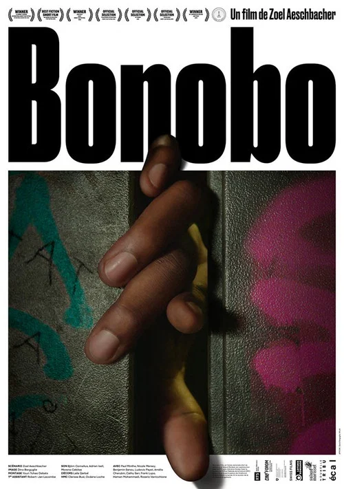 Bonobo постер