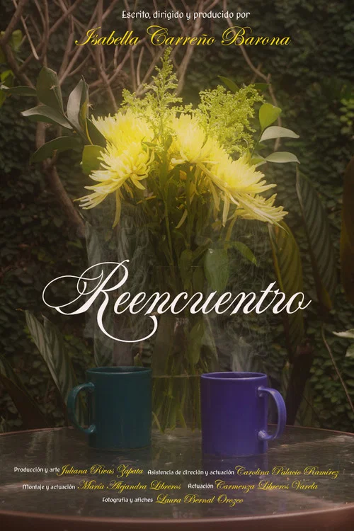 Reencuentro постер