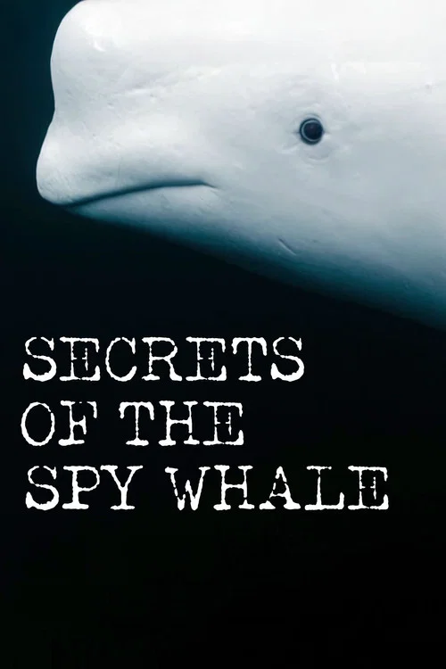 Secrets of the Spy Whale постер