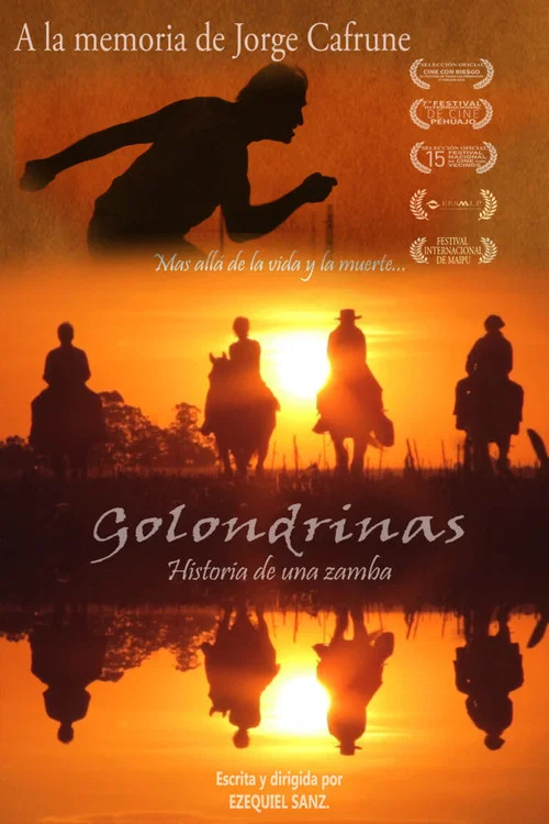 Golondrinas, historia de una zamba постер