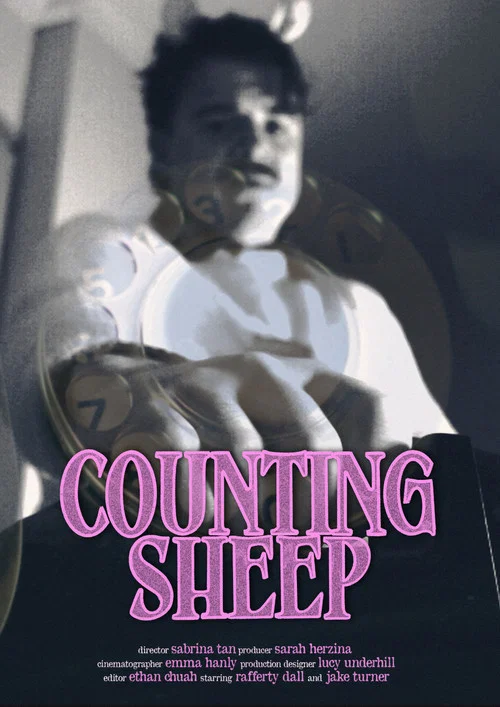 Counting Sheep постер