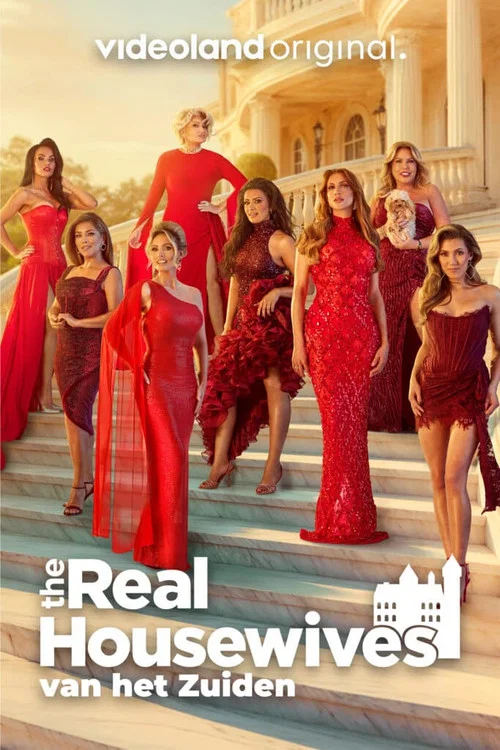 The Real Housewives van het Zuiden постер