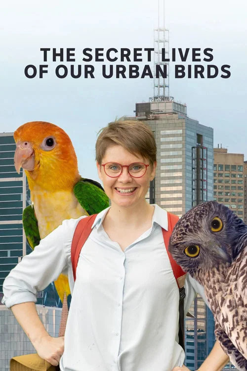 The Secret Lives of Our Urban Birds постер