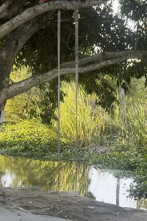 Na trilha do sol постер