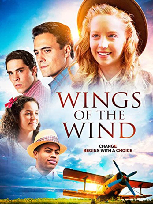 Wings of the Wind постер