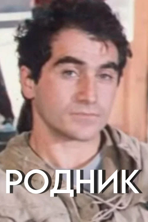 Родник постер
