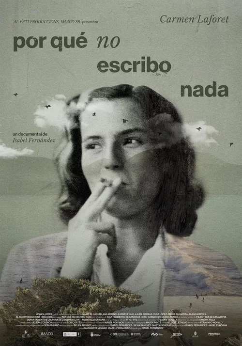 Por qué no escribo nada постер
