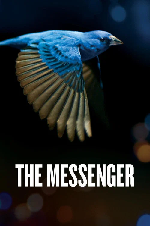 The Messenger постер