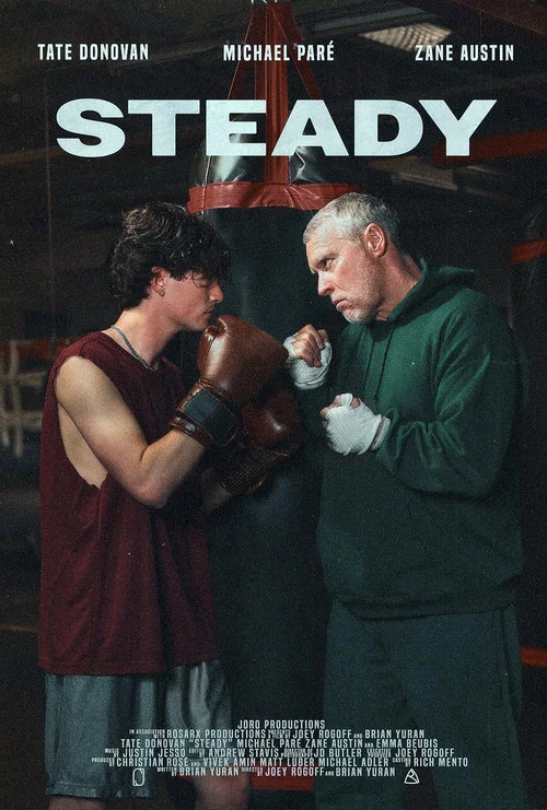Steady постер