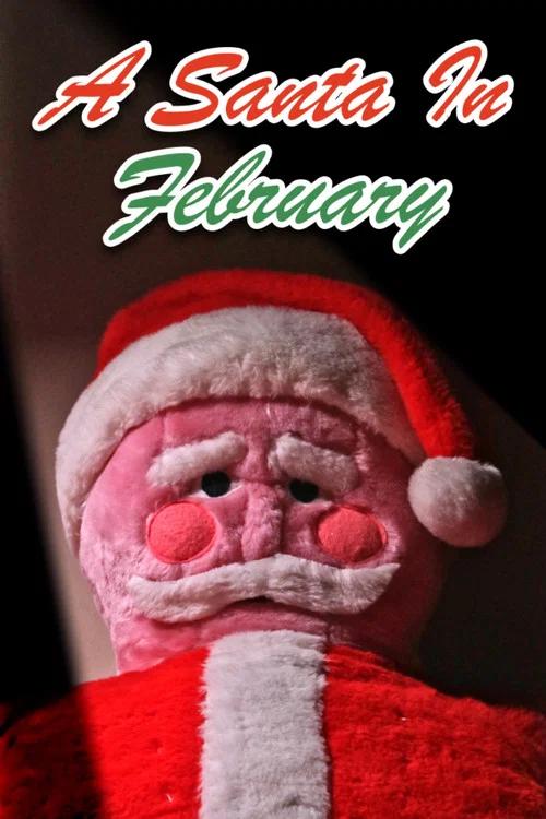 A Santa in February постер