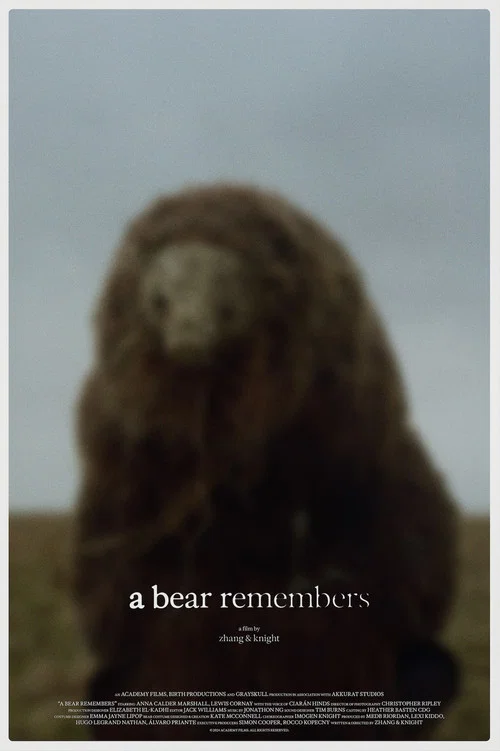 A Bear Remembers постер