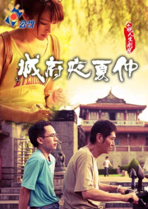 仲夏夜府城 постер