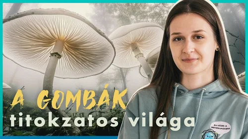 Эпизод 10