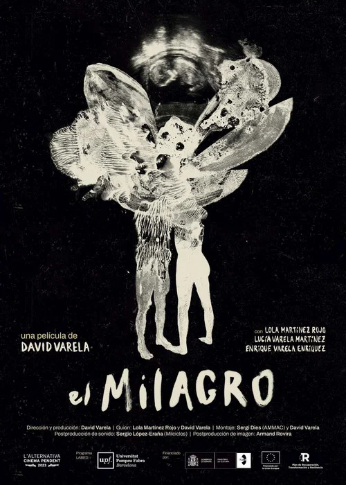 El milagro постер