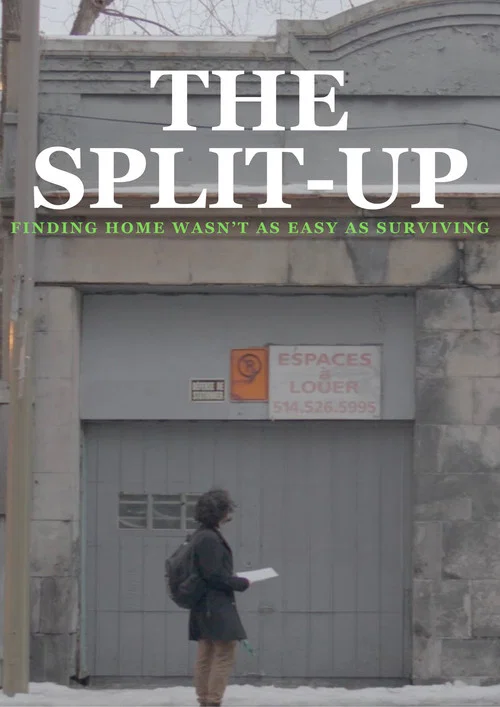 The Split-Up постер