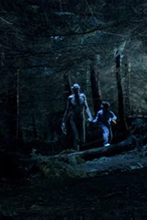 Ordan's Forest постер
