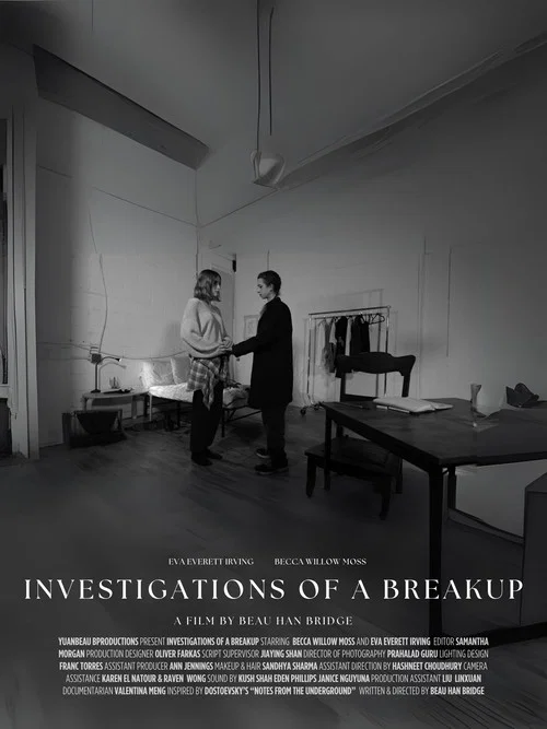 Investigations of a Breakup постер