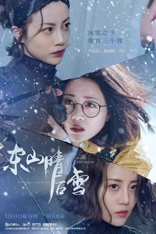 东山晴后雪 постер