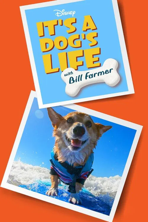 It's a Dog's Life with Bill Farmer постер