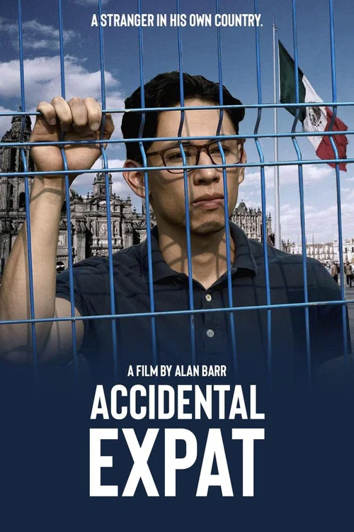 Accidental Expat постер