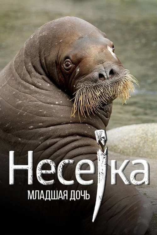 Несейка. Младшая дочь постер