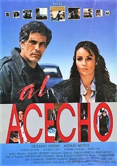Al acecho постер