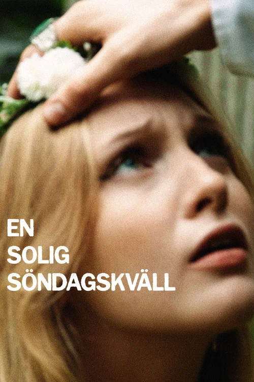 En solig söndagskväll постер