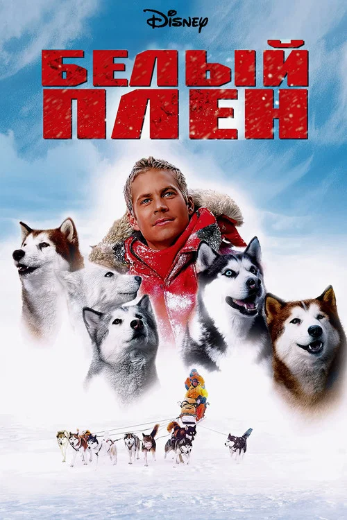 Белый плен постер