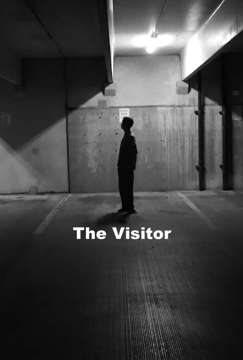 The Visitor постер