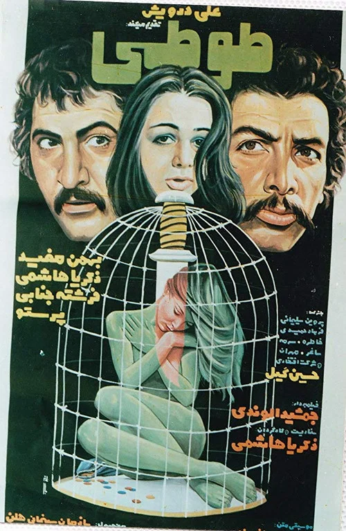 طوطی постер